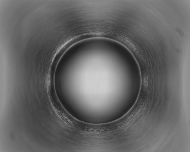 X0000113290532200909141206