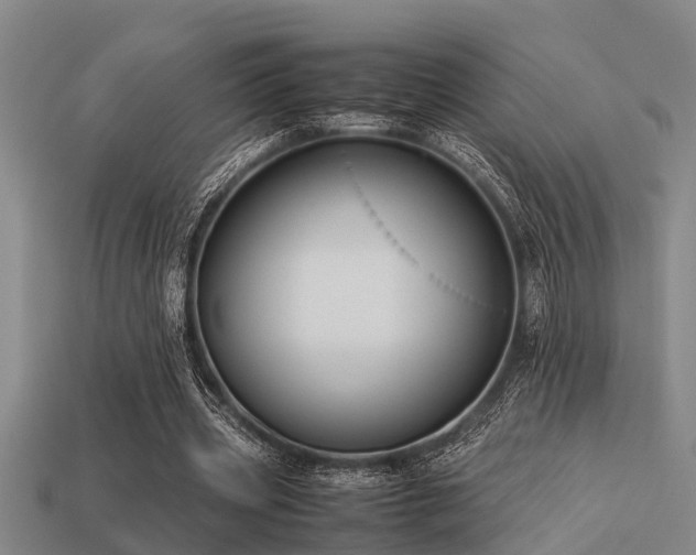 X0000113290533200909141206