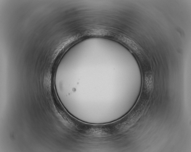 X0000113290534200909141206