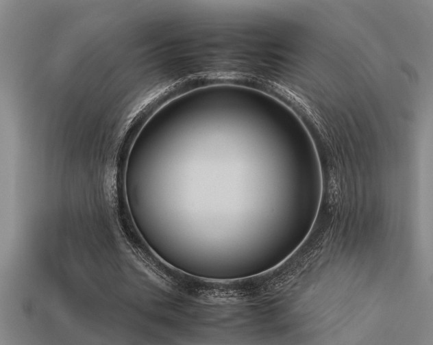 X0000113290535200909141206