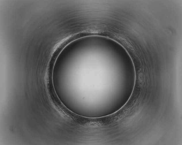 X0000113290536200909141206