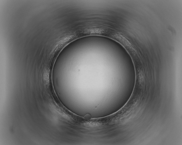 X0000113290537200909141206