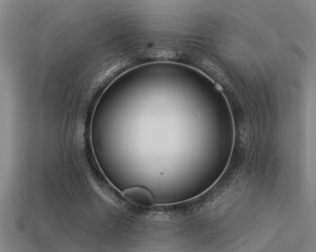 X0000113290538200909141206