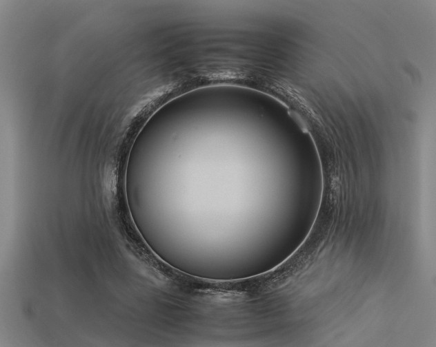 X0000113290539200909141207