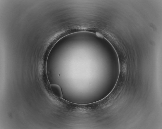 X0000113290540200909141207