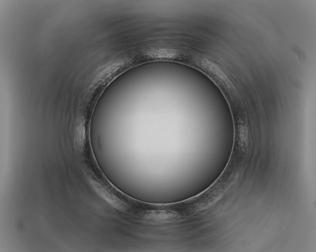 X0000113290541200909141207