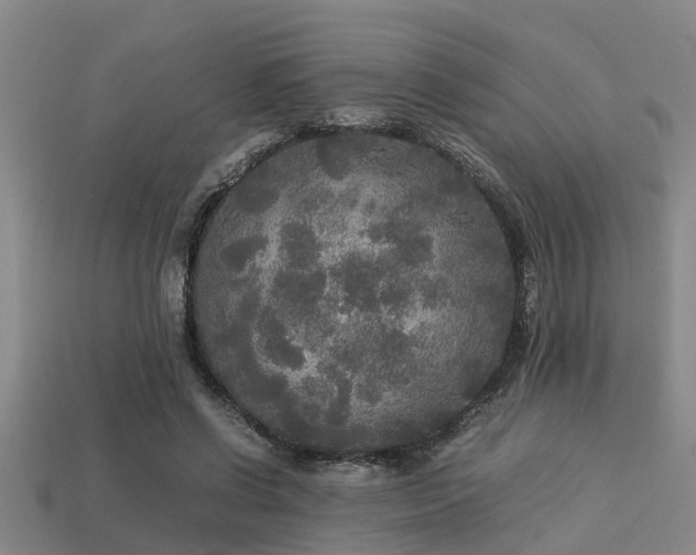 X0000113290542200909141207