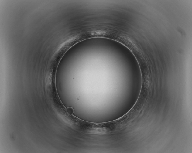 X0000113290543200909141207