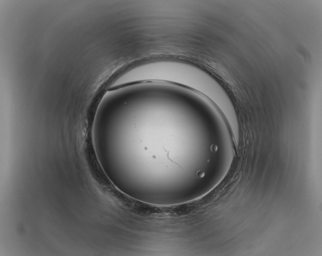 X0000113290544200909141207