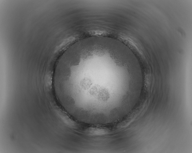 X0000113290545200909141207