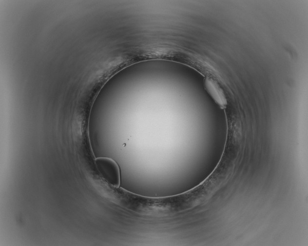 X0000113290546200909141207