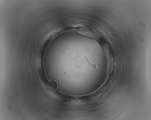 X0000113290547200909141207