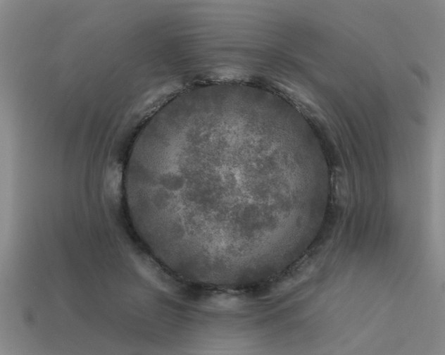 X0000113290550200909141207