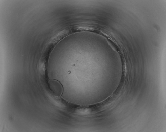 X0000113290551200909141207