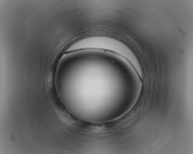 X0000113290552200909141207