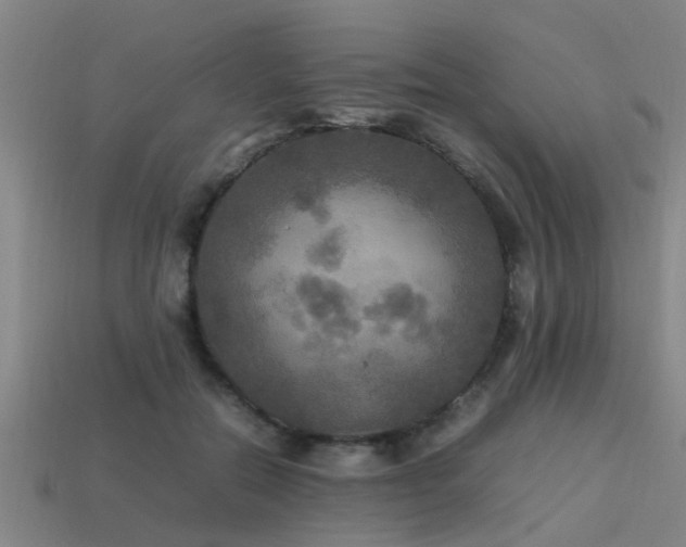 X0000113290554200909141207