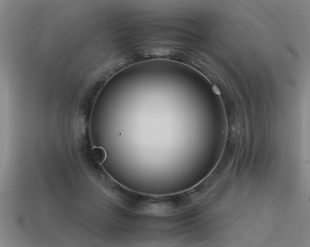 X0000113290555200909141207