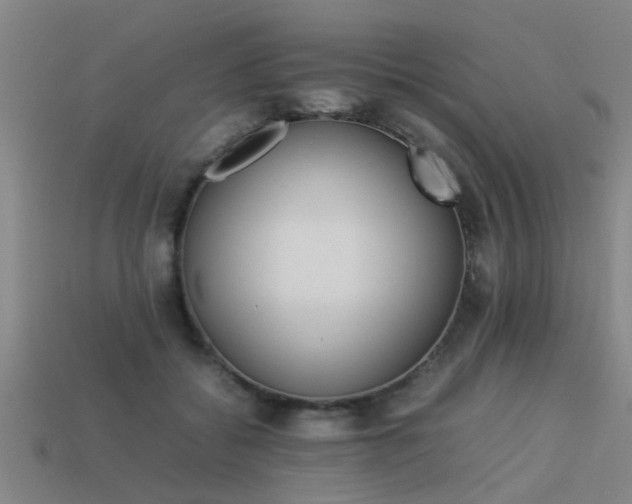 X0000113290556200909141207