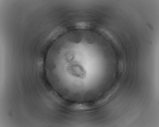 X0000113290557200909141207