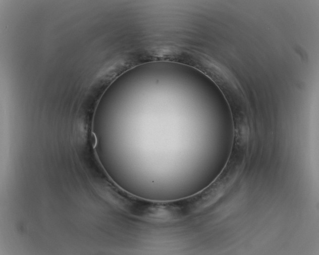 X0000113290558200909141207