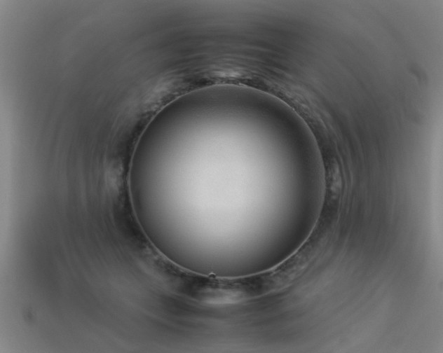 X0000113290559200909141207