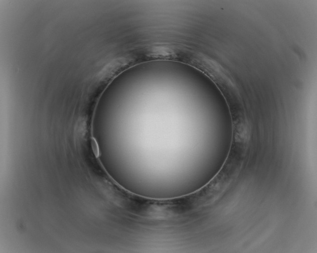 X0000113290560200909141207