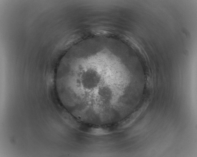 X0000113290561200909141207