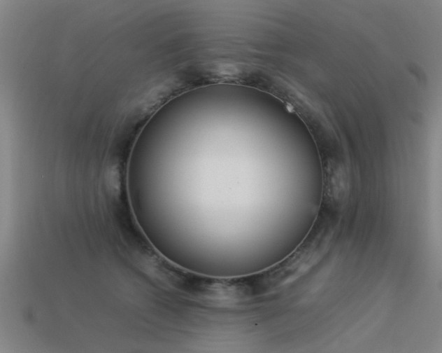 X0000113290562200909141207