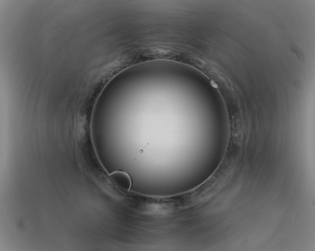 X0000113290563200909141207