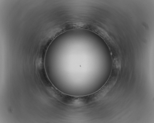 X0000113290564200909141207