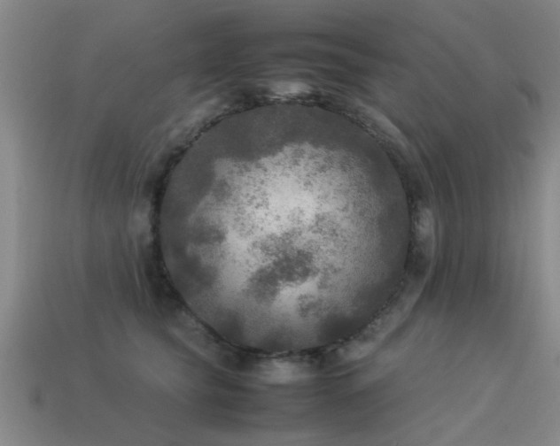 X0000113290565200909141207