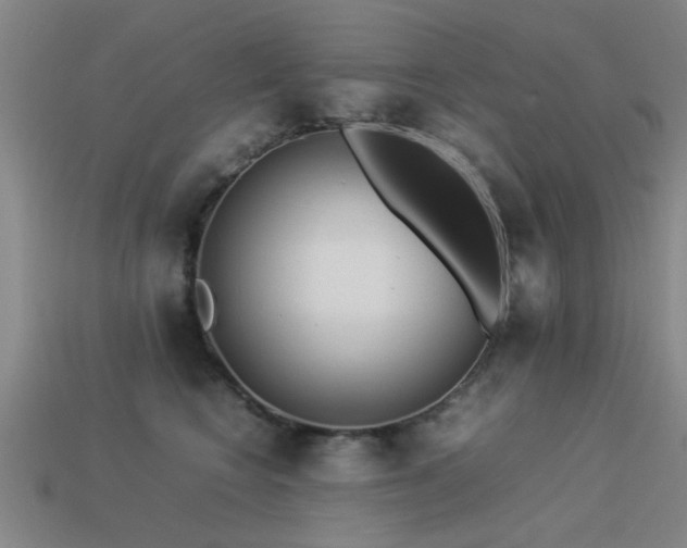 X0000113290566200909141207