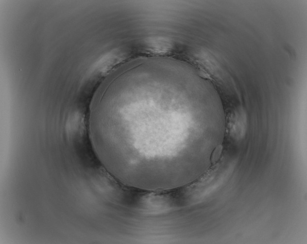 X0000113290568200909141207