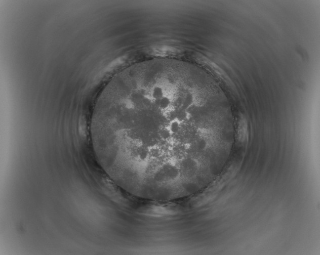 X0000113290569200909141207