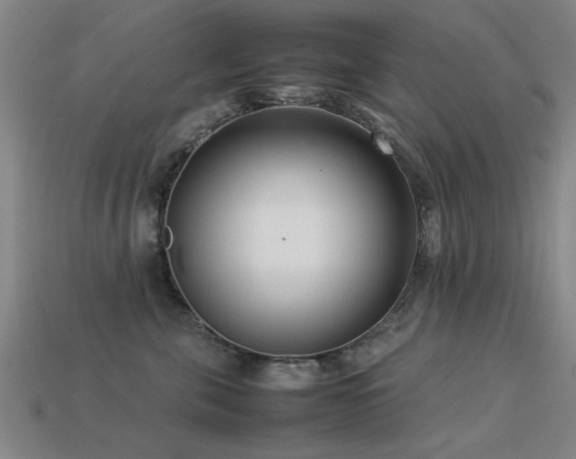 X0000113290571200909141207