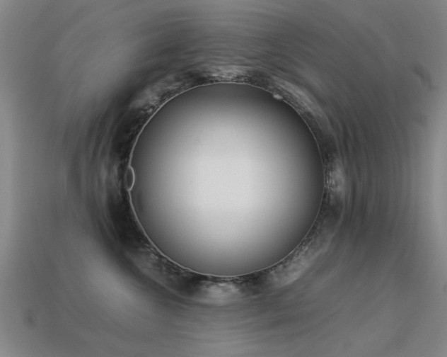 X0000113290572200909141207