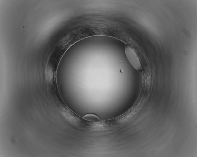 X0000113290574200909141207