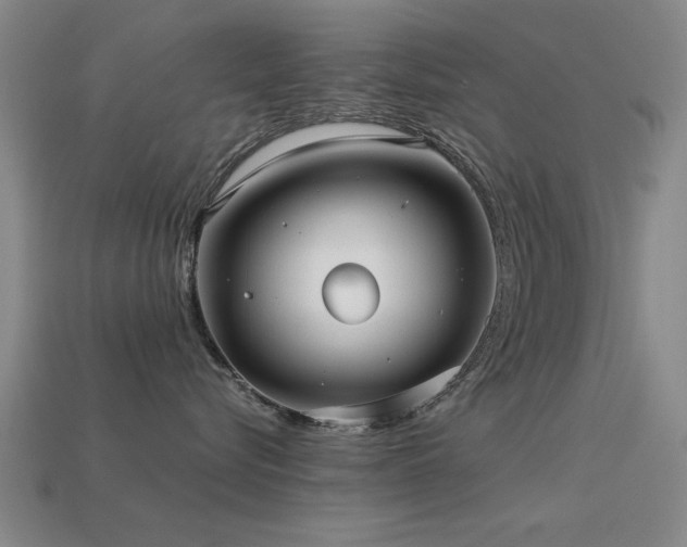 X0000113290576200909141207