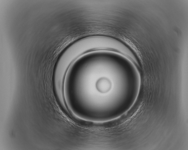 X0000113290577200909141206