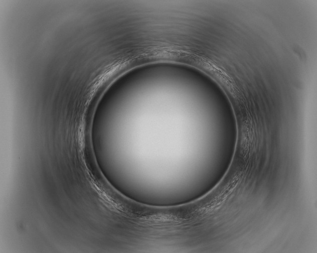 X0000113290578200909141206