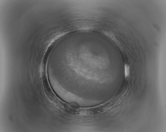 X0000113290579200909141206