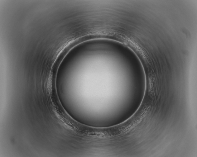 X0000113290580200909141206