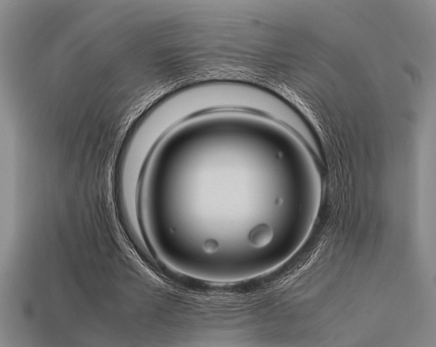 X0000113290581200909141206