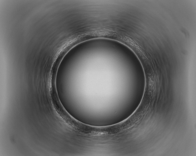 X0000113290582200909141206