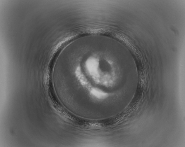 X0000113290583200909141206