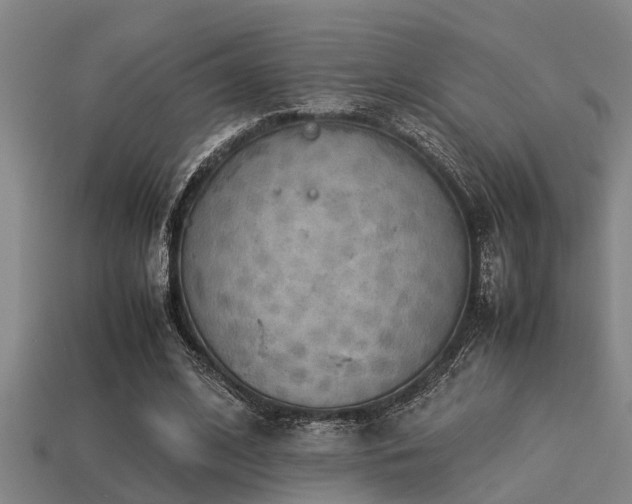 X0000113290584200909141206