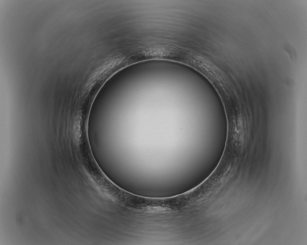 X0000113290586200909141206