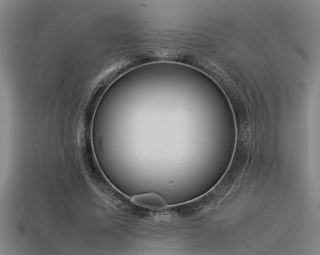 X0000113290587200909141206