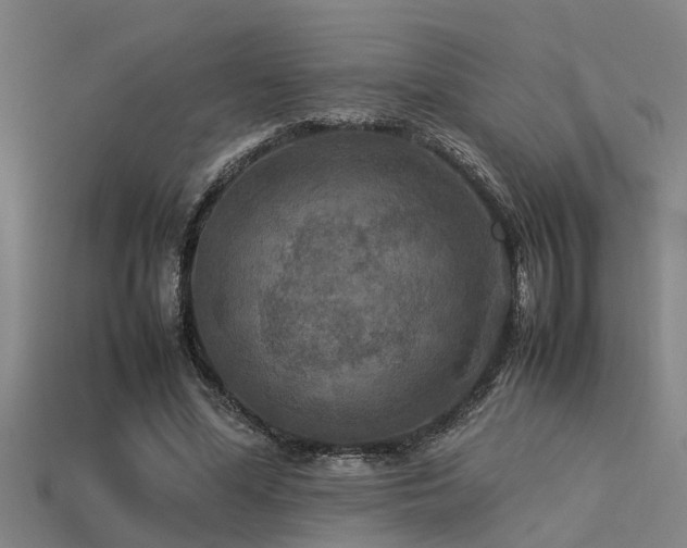 X0000113290588200909141206