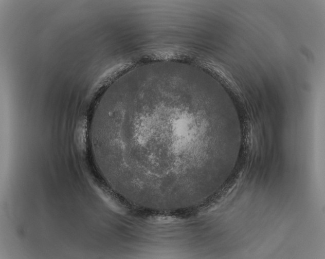 X0000113290590200909141206